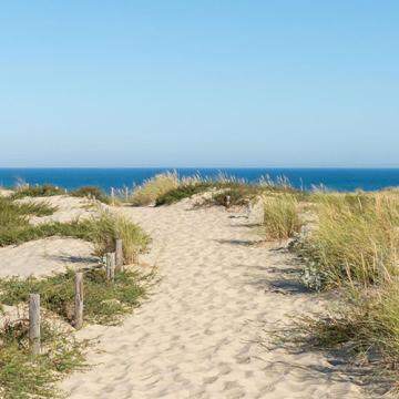 Gironde Camping Holidays: Family Campsites & Beaches | France | Siblu ...